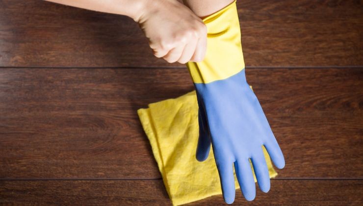 ricetta segreta per liberarsi dalla polvere